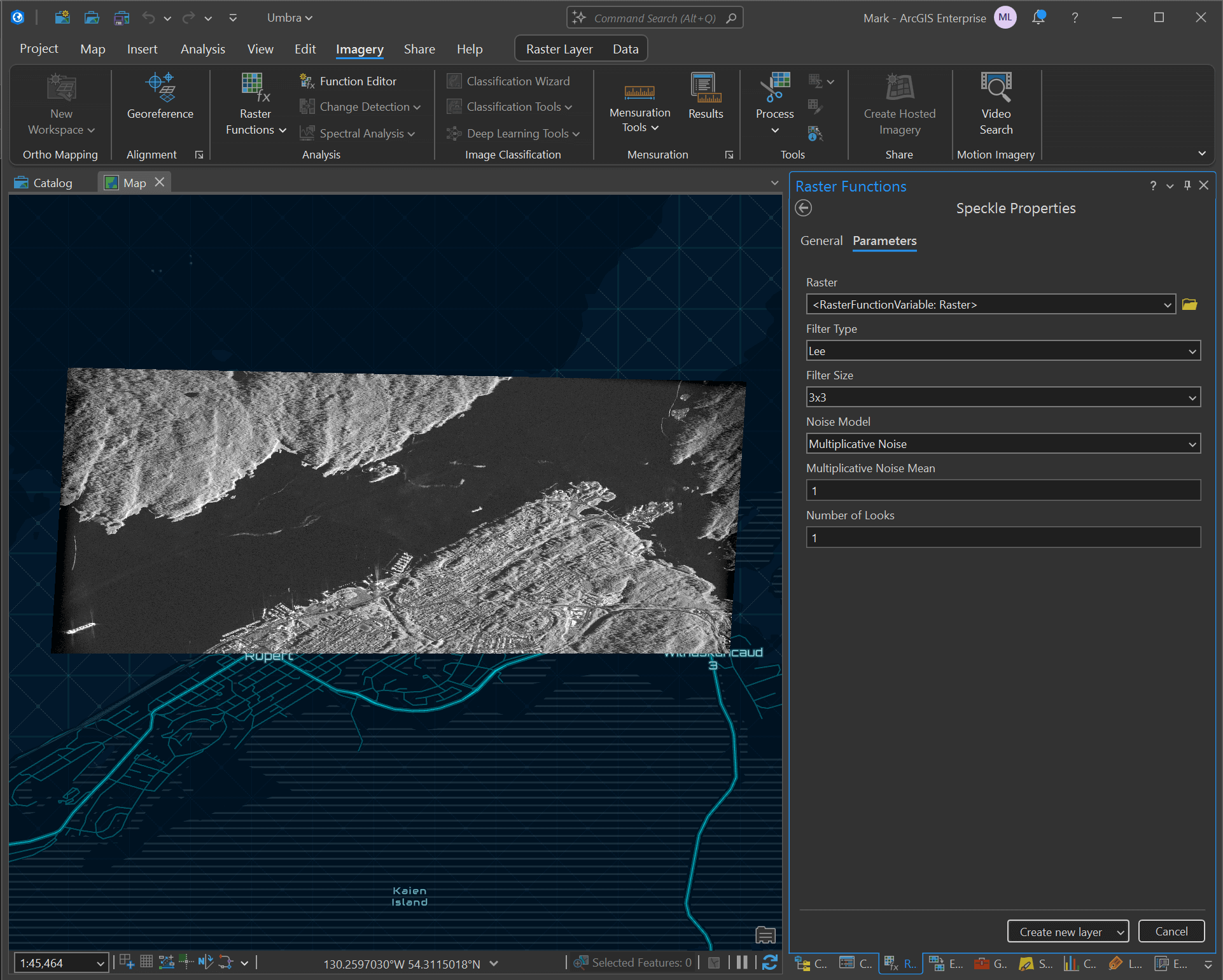 ArcGIS Pro 3.5